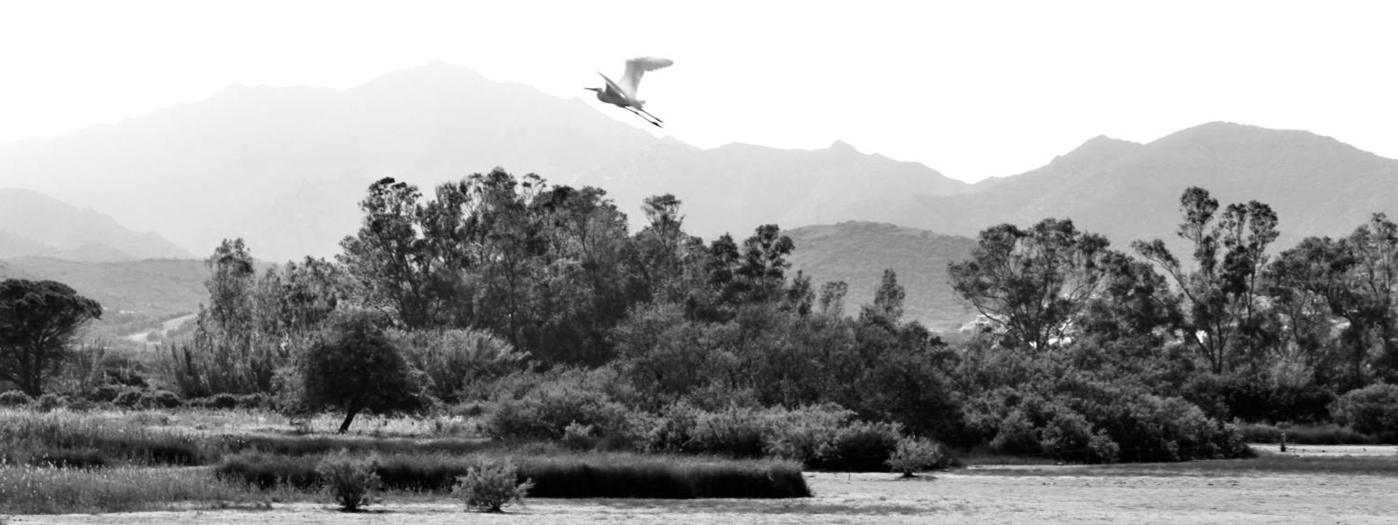 Resort Abbaia Ba Budoni Dış mekan fotoğraf