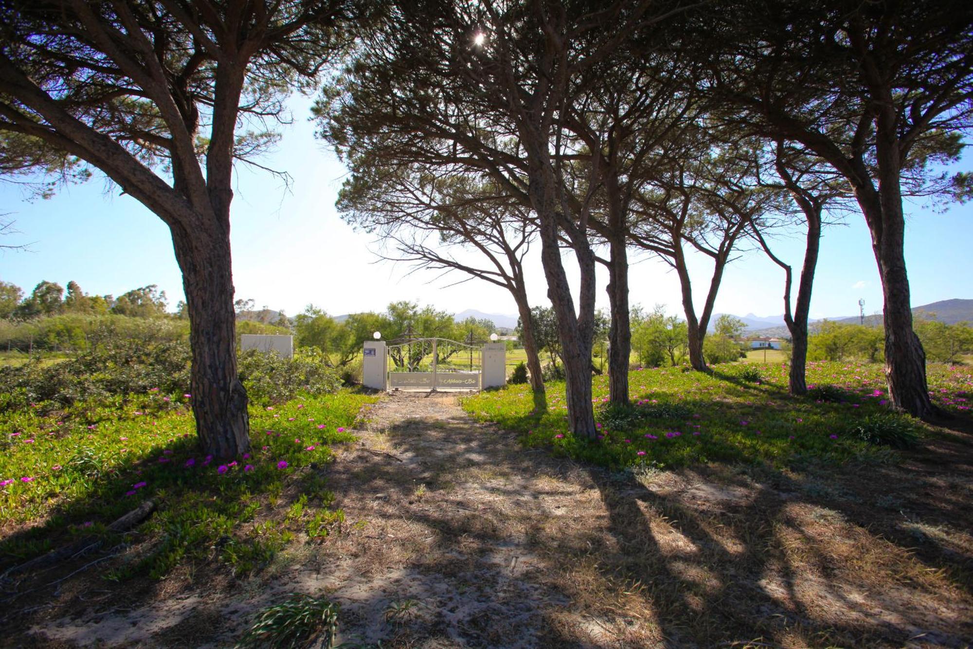 Resort Abbaia Ba Budoni Dış mekan fotoğraf