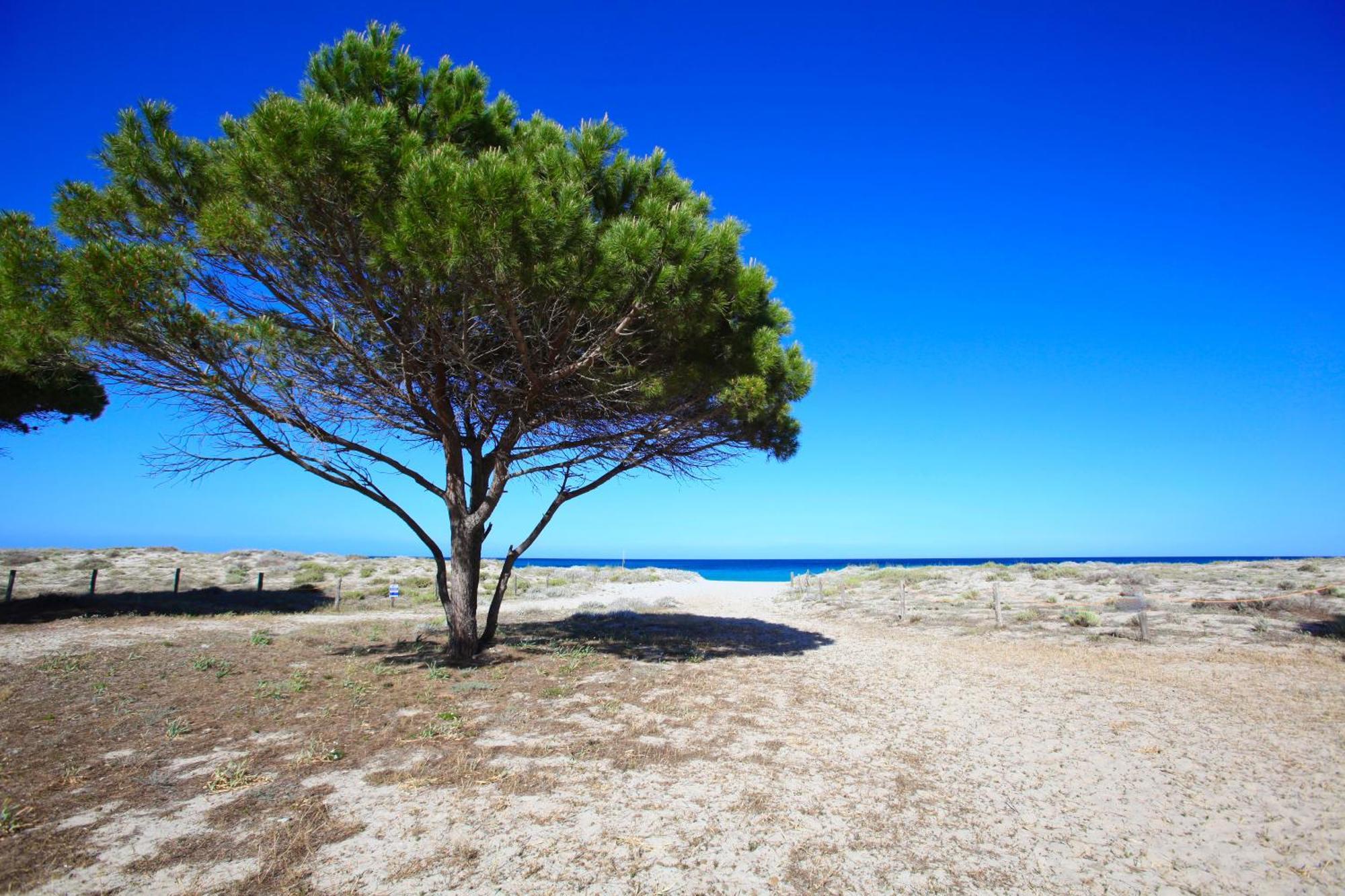 Resort Abbaia Ba Budoni Dış mekan fotoğraf