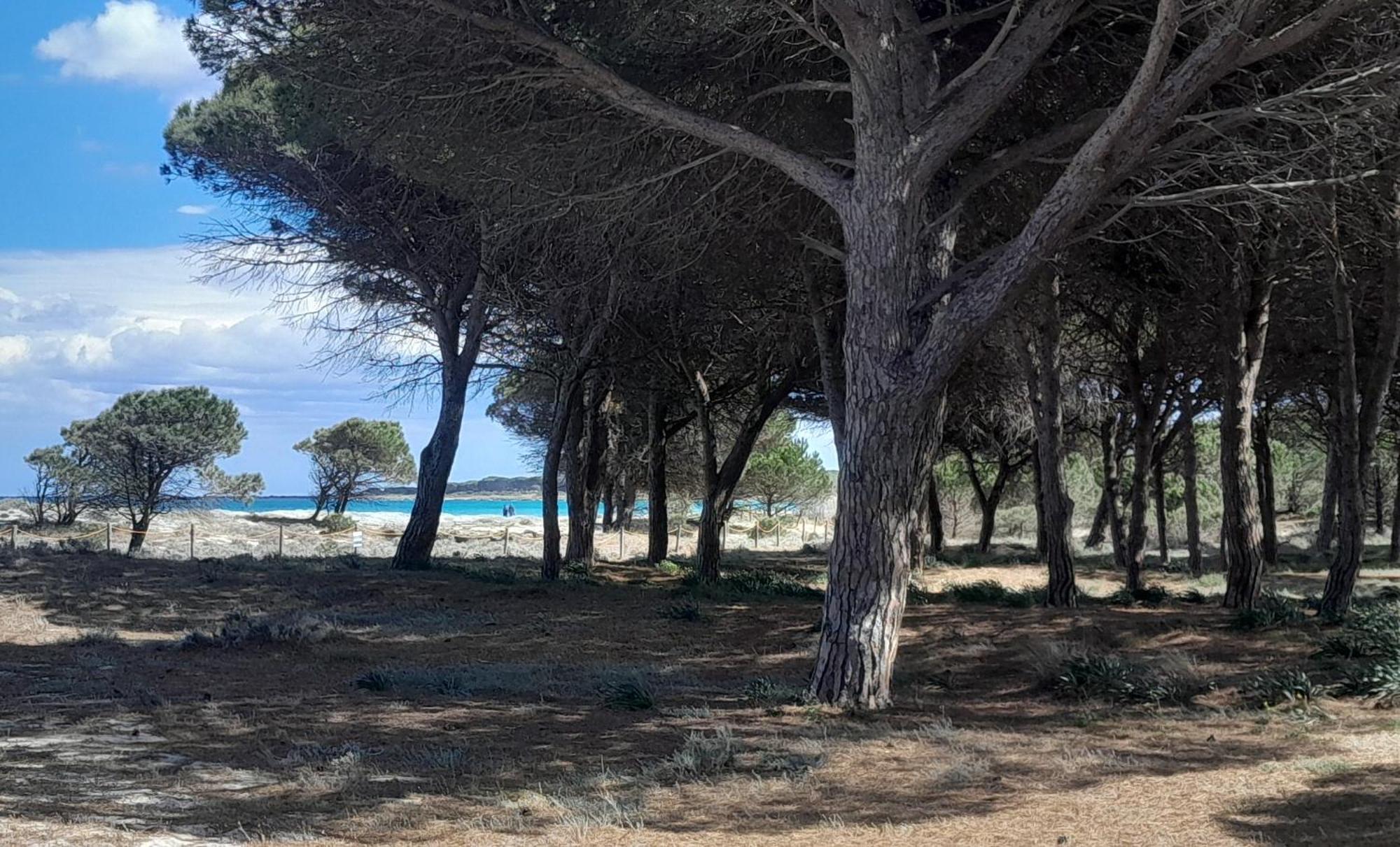 Resort Abbaia Ba Budoni Dış mekan fotoğraf